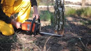 Lawn Irrigation Installation and Maintenance in Beardstown, IL